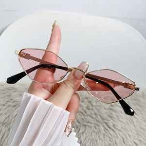 Sunglasses Polygonal <b>Small</b> Frame Metal Unisex UV400 Light <b>Weight</b> PC Frame Black Lens - Product Image 2