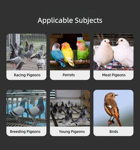 Compléments de Soins pour Pigeons, Compléments de Santé pour Animaux de Compagnie, Renforcent les Os, Améliorent la Qualité des Œufs, Accélèrent la Mue pour Oiseaux - Product Image 6
