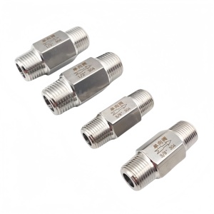 Válvula de retención neumática de acero inoxidable 304 con rosca ZG NPT 1/8 \ "1/<span class=keywords><strong>4</strong></span> \" <span class=keywords><strong>3</strong></span>/8 \ "1/2 \" <span class=keywords><strong>3</strong></span>/<span class=keywords><strong>4</strong></span> \ "1 \" Válvula de retención unidireccional - Product Image 1