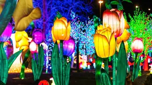 فانوس زهور بإضاءة ليد للأماكن المفتوحة لاستخدامات الاحتفال فوانيس صينية من الحرير