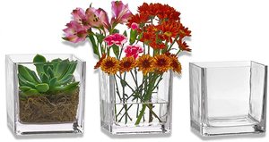 Rosa de Cristal 15x15 para Florero Cúbico, Decoración del Hogar, Moderno Florero Cuadrado de Cristal Transparente, Vaso de Cristal Único, Cartón de Cristal, Arte Moderno Tradicional - Product Image 4