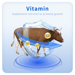 Poudre noire pour additifs d'acides aminés de qualité alimentaire pour bovins et ovins qui favorisent le gain de poids et la croissance Rumen sain Bio Earn - Product Image 5