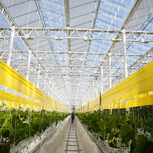 Piège à rouleaux de colle jaune 30CM * 100M Piège à rouleaux adhésifs bleus Piège à mouches pour serre de <span class=keywords><strong>tomates</strong></span> - Product Image 5