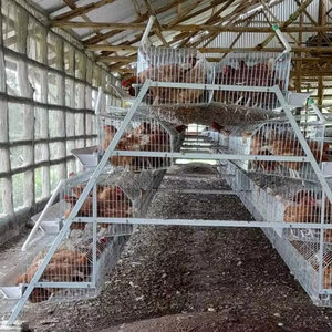 Cage à poules en métal galvanisé écologique à grande capacité, 3-4 niveaux, 6 pieds, avec service <span class=keywords><strong>de</strong></span> modélisation 3D pour volailles - Product Image 1