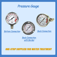 High Pressure Meter Gauge Portable Pressure Gauge 200 Bar with Lowest Price