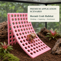 Rampe d'accès personnalisable pour hermit crab, accessoire de terrarium, décoration pour petits animaux de compagnie