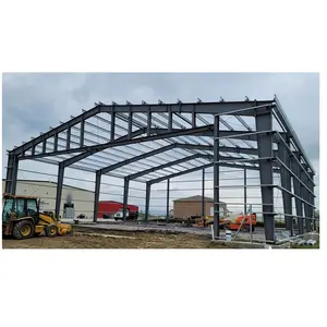 Prefabricated Light Gauge Steel Structure House Framing/metal Building Iron Metal Structure