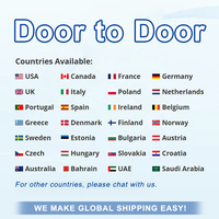 Agent maritime Conteneur DDU DDP DAP Express Logistique Dédouanement Chine Shenzhen Ningbo vers Pays-Bas Italie Espagne