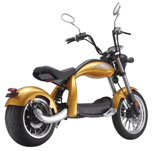 2020 model X5 Fast supply speed citycoco 2000w electric motorcycle scooter adult EEC/COC certificate EU in stock