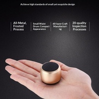 Haut-parleur portable d'extérieur sans fil le plus vendu en alliage d'aluminium 5.3 Mini avec sortie 3W