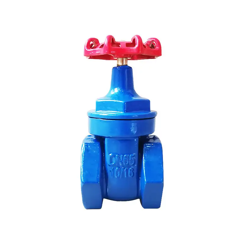 Ductile iron engineering protection gate valve premium hard sealed copper core wire port manual gate valve