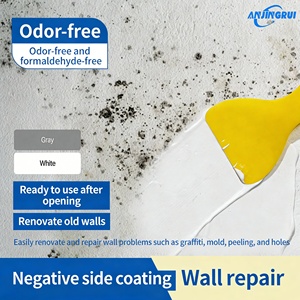 Revêtement imperméabilisant pour béton à pression négative super forte, anti-infiltration, pour la réparation des fuites d'humidité et des décollages des murs intérieurs et des plafonds des sous-sols - Product Image 1