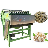 Automatische Cashewnoten Snijden Peeling Beschietingen Cashew Verwerkingsmachine Van Indian Make