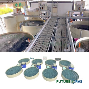 Système complet d'aquaculture d'élevage de crevettes tigrées d'eau douce entièrement automatique en intérieur, projet de 50 tonnes - Product Image 1