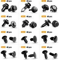 QEEPEI 480 pièces Nouveau kit de fixations automobiles en plastique avec rivets en nylon et POM, outil de retrait de clips de retenue à poussoir pour pièces automobiles