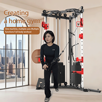 Machine de musculation compacte Little Bird à câbles en acier, double pile de poids, multifonctionnelle pour entraînement complet du corps à domicile