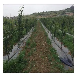 Drainage Mat Jute Non Woven Weed Control Mat Agriculture Tnt Nonwoven Fabric
