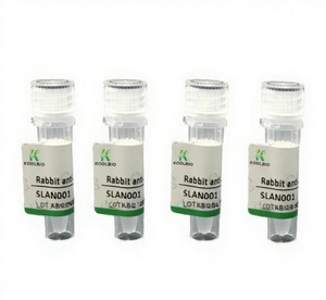 Mélange de DNTPs 10 mM chacun, réactif de qualité PCR - Product Image 1