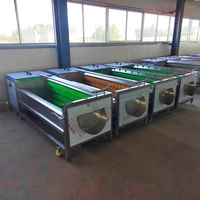Laveuse et éplucheur de légumes de betterave à sucre de machine de nettoyage de lavage de manioc utilisé commercial