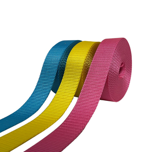 Penjualan terlaris disesuaikan 2.5CM ramah lingkungan gaya polos polos ketahanan tinggi anjing kucing yang lebih kuat tali kekang nilon anyaman - Product Image 1