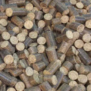 Briquetas de Biomasa de Cáscara de Cacahuete Premium, Combustible 100% Natural para Plantas Térmicas, Calderas y Uso de Energía Limpia - Product Image 1
