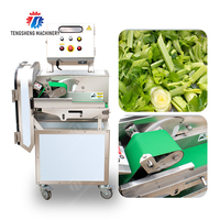 Máquina Industrial Cortadora de Vegetales, Picadora de Hojas de Col, Espinaca y Cebolla, 800KG/H, Planta de Procesamiento de Alimentos, Fábrica OEM