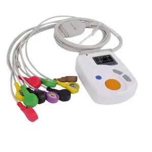 12 saluran ECG Holter 24 jam ECG Holter Holter ECG Monitor harga