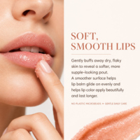 Private Label 100% Exfoliant Hydratant Bio Vegan Éclaircissant Lèvres Suger Pink Lip Scrub