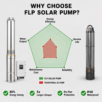 Pompe solaire submersible haute précision en acier inoxydable à large plage de tension CC 48V-110V avec contrôleur intelligent pour les zones rurales de Tanzanie