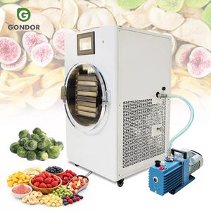 Déshydrateur Lyophilisateur Compact pour la Maison en Australie – Mini Machine à Fruits Lyophilisés pour Aliments - Product Image 1