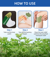QFSN Patch transdermique à base de plantes à l'armoise pour soulager les douleurs au genou, 24 heures, Modèle 02369