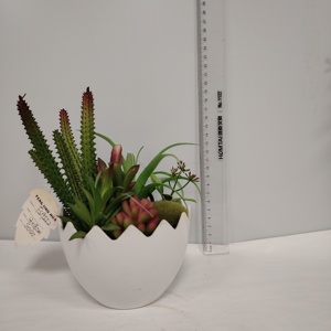 Arreglo <span class=keywords><strong>de</strong></span> Plantas Suculentas Artificiales en Maceta <span class=keywords><strong>de</strong></span> Cerámica Blanca - <span class=keywords><strong>Cactus</strong></span> Artificial Realista para Decoración del Hogar, Oficina y Escritorio - Product Image 4