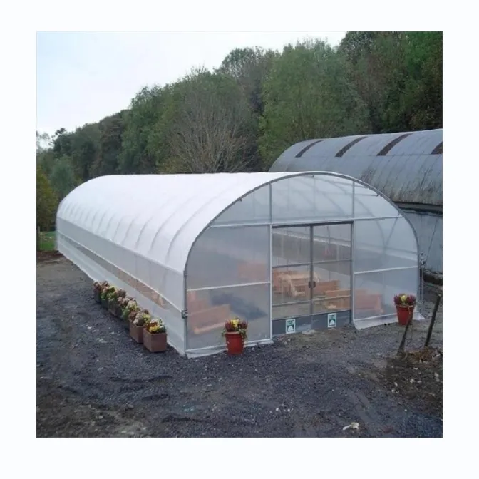 Invernadero de película de túnel alto barato para invernadero agrícola hidropónico de tomate para rendimiento mejorado de tomate