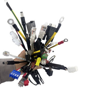 可定制的 2 针汽车用 PVC 铜线束 HINICABLE AWH-001 提供特定应用服务 - Product Image 2