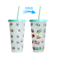 Gobelet réutilisable en plastique sans BPA, couleur froide, avec couvercle, pour adultes, idéal pour les fêtes et événements en plein air