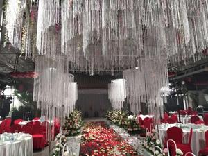 Bravo Thick Silver Decorative String Curtain for Celebration <strong>Wedding</strong> <strong>Ceiling</strong> <strong>Decoration</strong> - Product Image 6