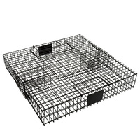 Trampa viva de jaula de ardilla de captura múltiple de acero galvanizado reutilizable ecológica Control de roedores de animales
