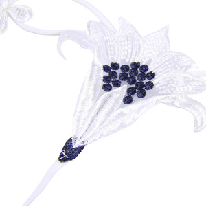 Lingerie Sexy Intimo Femminile <span class=keywords><strong>Perizoma</strong></span> a Tre Punti in <span class=keywords><strong>Pizzo</strong></span> Tessuto Dobby in Poliestere Puro Desiderio Stile Europeo/Americano - Product Image 3