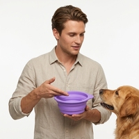 Bol en silicone pour chiens et chats, pliable et rétractable, bol de voyage antidérapant, bol d'alimentation portable de qualité alimentaire
