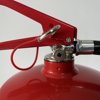 Ventes Flash Prix Compétitif 1kg, 2kg, 4kg, 6kg, 9kg Extincteur à Poudre Sèche ABC 60% Cylindre CE/EN3