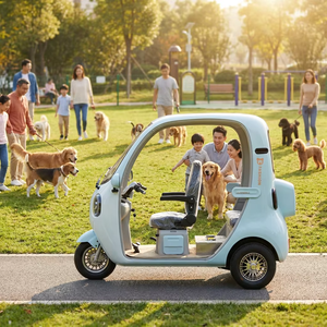 In China Hergestelltes Niedriggeschwindigkeits-Elektrofahrzeug Leichtes Elektro-Dreirad Haushalts-Pendlerfahrzeug Unverzichtbar für Reisen mit Kindern - Product Image 2