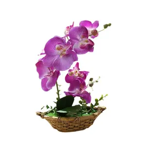 Grosir sentuhan asli anggrek kupu-kupu Phalaenopsis anggrek Bonsai pot untuk Hari Ibu Natal dekorasi rumah wisuda