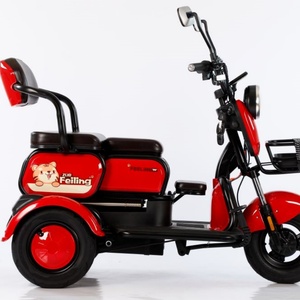 รถสามล้อไฟฟ้าสำหรับผู้ใหญ่ราคาถูกจากจีน รถสามล้อไฟฟ้า 3 ล้อ สำหรับ 2 คน - Product Image 3