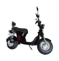 Moto électrique sportive et de rue 1000W sans balais, batterie 60V 20AH pour adultes - OEM/ODM, vitesse maximale 50KM/H