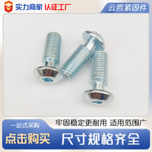 Vis à tête semi-ronde M3, diverses spécifications, connecteurs spéciaux pour profilés 20/30 40/45, norme DIN933, finition brute - Product Image 4