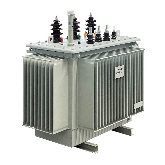 Electric Electricity Distribution Transformer 100kva Three Phase Transformer S20 Oil-immersed Transformer Power TOROIDAL 50/60hz