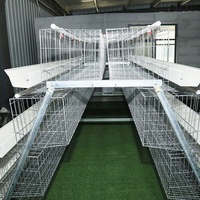 Cage à poules de haute qualité en acier galvanisé à 3/4 niveaux, capacité 48-160, pour élevage avicole