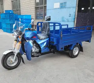 2024 domestique vente chaude moteur tricycle tirer cargaison produit agricole adulte 12V cargo tricycle
