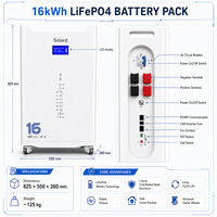 Batterie solaire hybride 16 kWh 51,2 V 314 Ah avec Wi-Fi, 8000 cycles, sans entretien, fonctionnement sécurisé, empilable