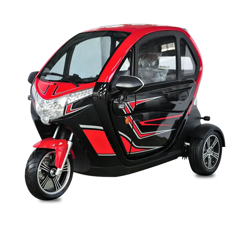 China Eec Volledig Gesloten 3-wiel 2 Zitplaatsen Bromfiets Passagier Volwassen Elektrische Driewieler Mini Auto